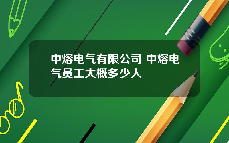 中熔电气有限公司 中熔电气员工大概多少人